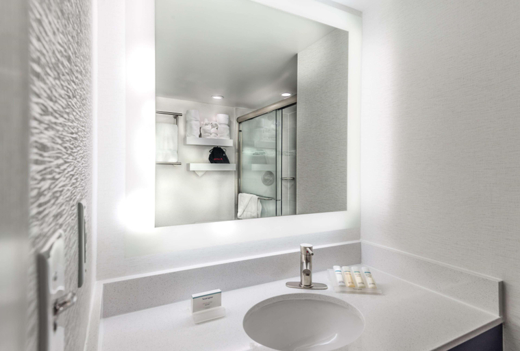 Bathroom 4, Hilton Garden Inn Reagan National Airport, Arlington