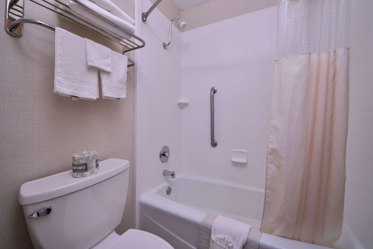 Bathroom 4, Best Western Northgate Inn, Gray