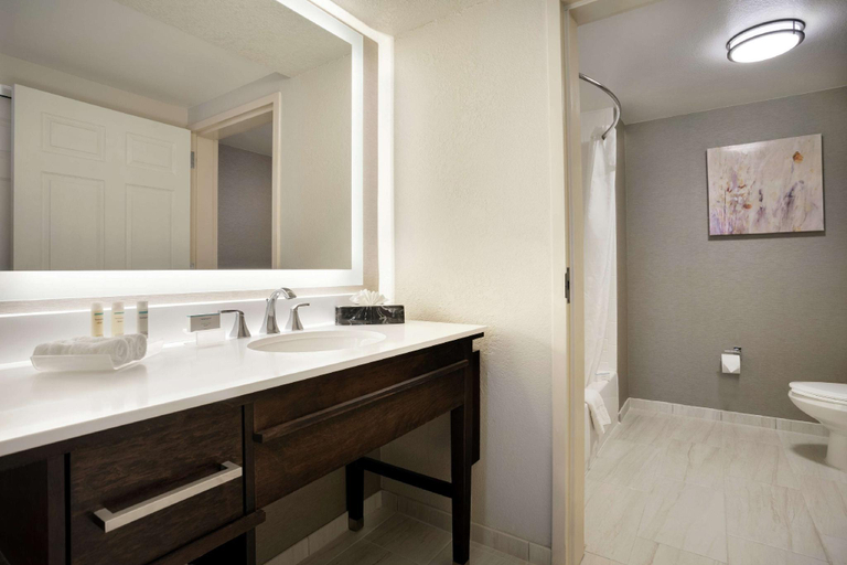 Bathroom 4, Homewood Suites by Hilton Phoenix/Chandler, Maricopa