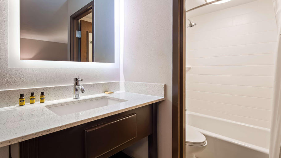 Bathroom 4, Best Western Plus Lake Jackson Inn & Suites, Brazoria