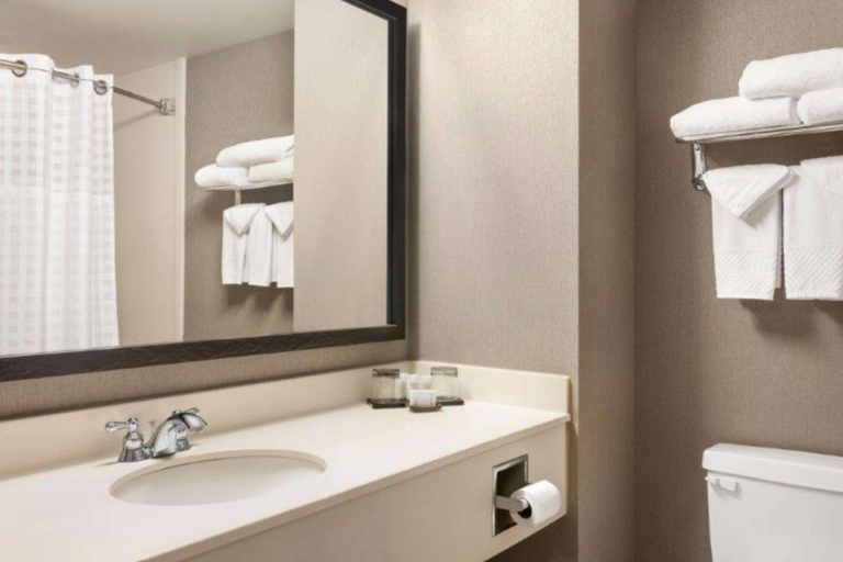 Bathroom 5, Embassy Suites Northwest Arkansas, Benton