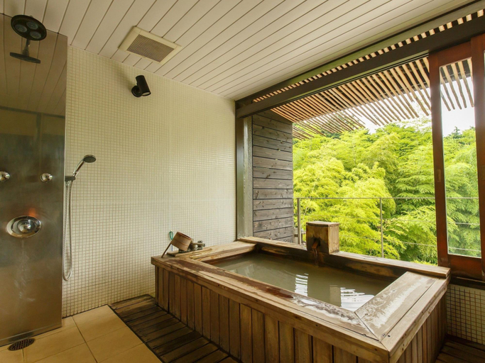 Bathroom 4, Kinnotake, Hakone
