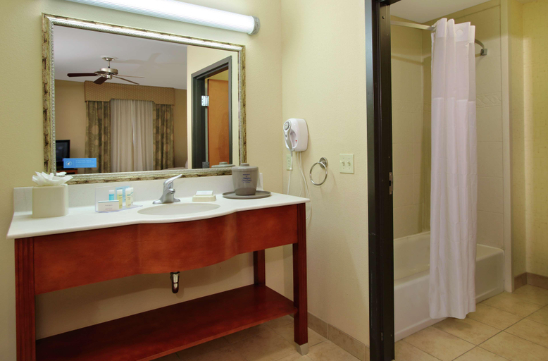 Bathroom 4, Hampton Inn & Suites Buffalo, Leon