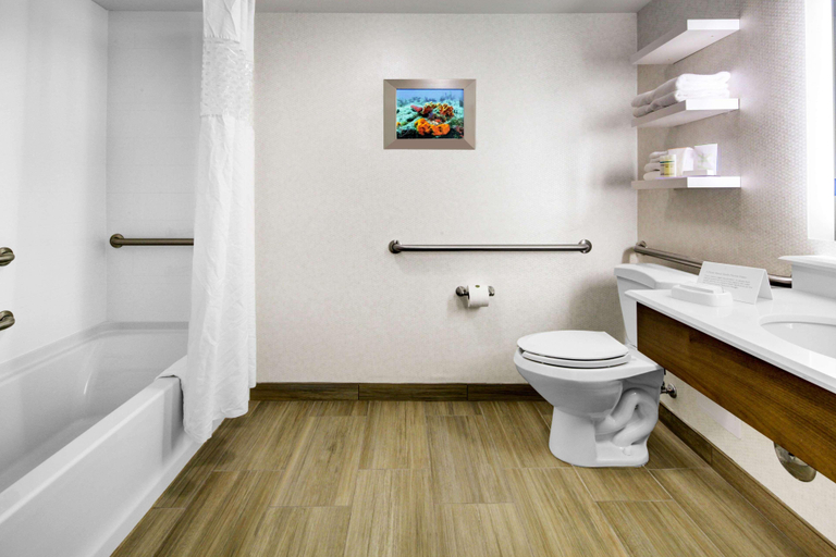 Bathroom 4, Hampton Inn Ft. Lauderdale-West/Pembroke Pines, Broward