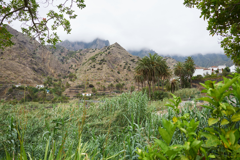 Others 5, Finca Piñero, Santa Cruz de Tenerife