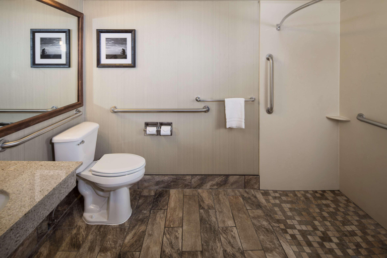 Bathroom 5, Best Western Ramkota Hotel, Pennington
