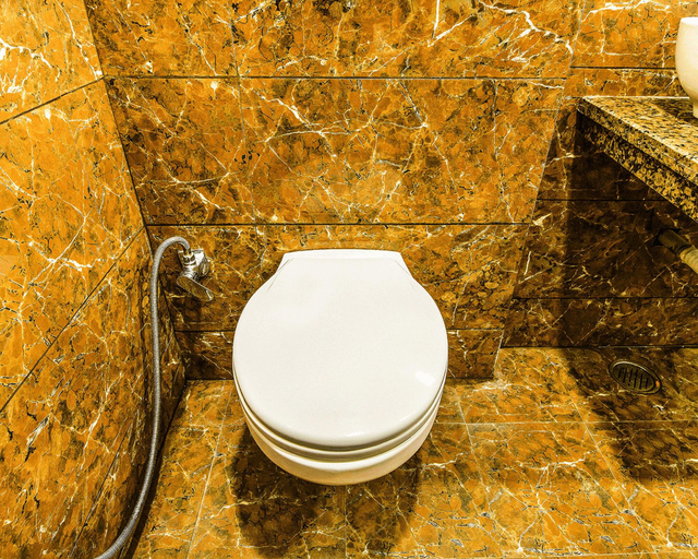 Bathroom 3, FabHotel Rosewood Inn, Amritsar