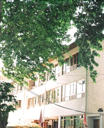 Exterior & Views 2, Hotel Ahdoos, Srinagar