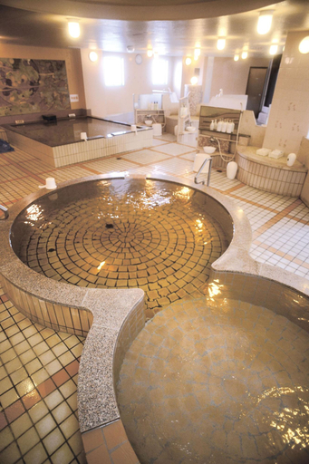 Public Area 2, Miyazaki Daiichi Hotel, Miyazaki