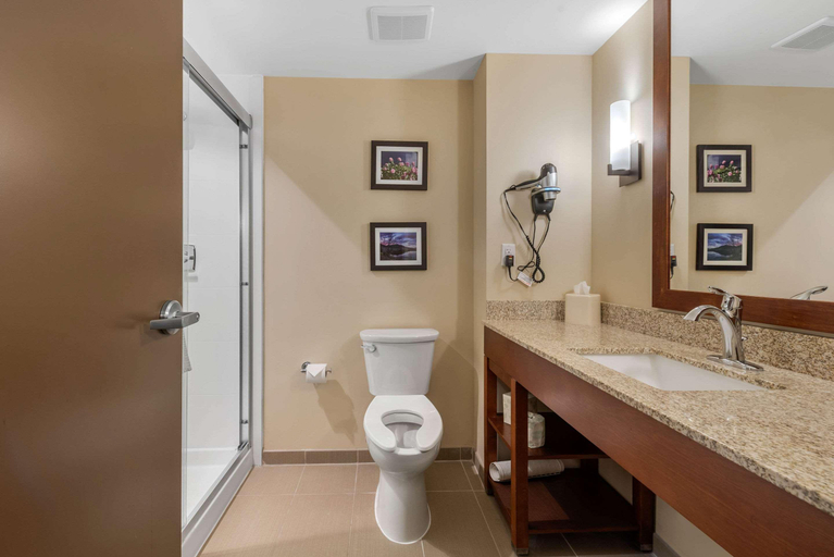 Bathroom 4, Comfort Suites Denver near Anschutz Medical Campus, Adams