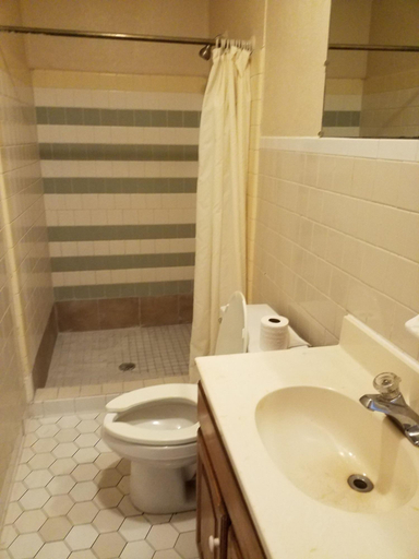 Bathroom 4, Budget Inn Express, Mecklenburg