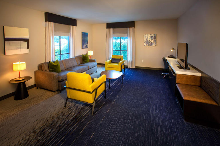 Public Area 3, Hilton Garden Inn Redmond Seattle, King