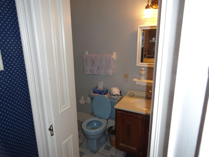 Bathroom 4, Victorian Inn Bed and Breakfast, Rock Island