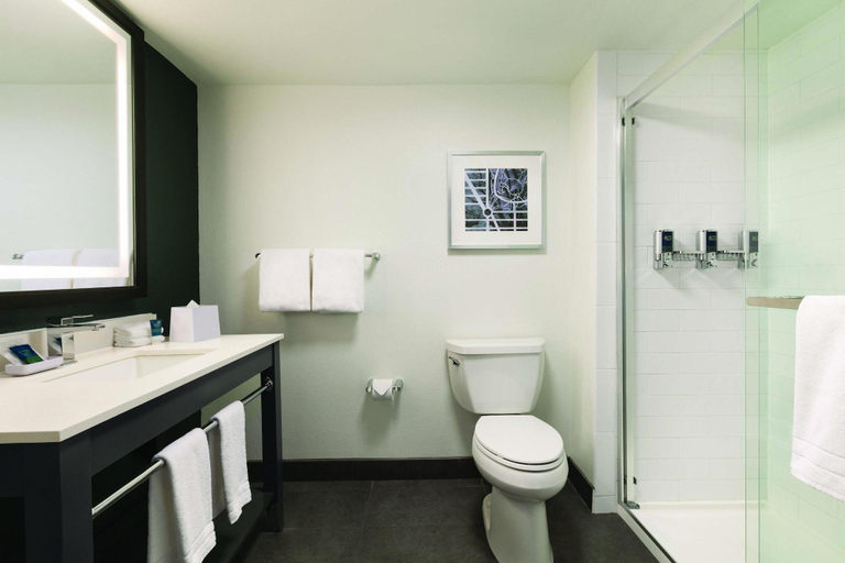 Bathroom 4, Four Points By Sheraton Raleigh Arena, Wake