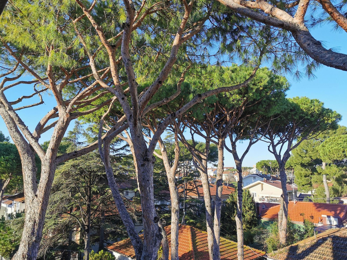Exterior & Views 2, Hotel Bellini, Rimini