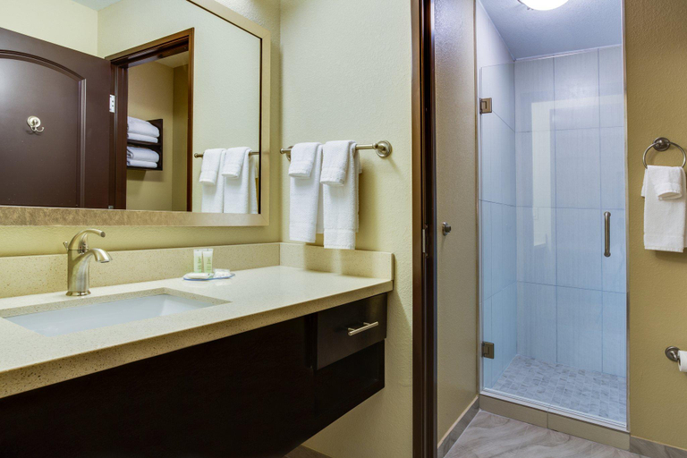 Bathroom 2, Staybridge Suites Atlanta Airport by IHG, Fulton