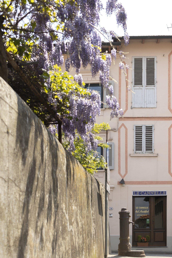 Exterior & Views 2, B&B Le Cannelle Fiesole, Florence