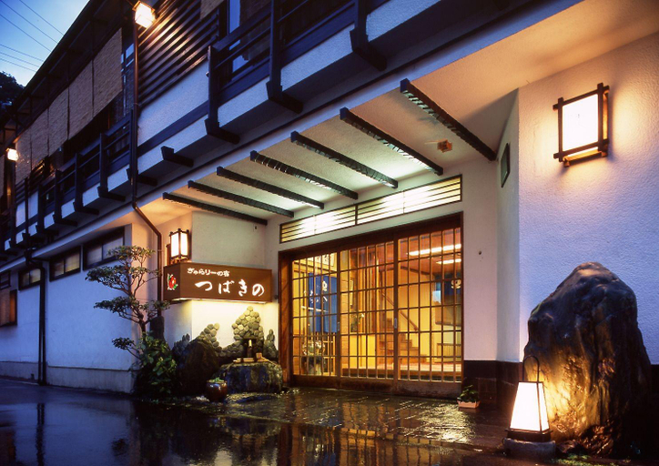Public Area 2, Tsubakino Ryokan, Toyooka