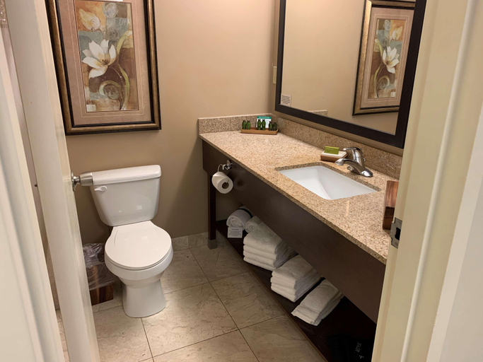 Bathroom 5, Fourwinds Lakeside Inn & Marina, Monroe