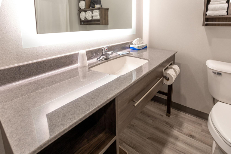 Bathroom 4, My Place Hotel-Watertown, SD, Codington