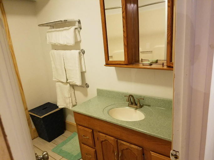 Bathroom, Nel's Place, Steuben