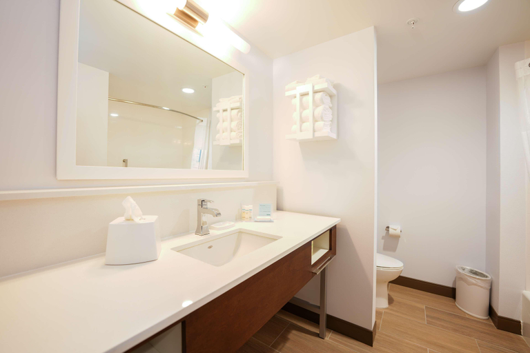 Bathroom 4, Hampton Inn And Suites Aurora South Denver, Arapahoe