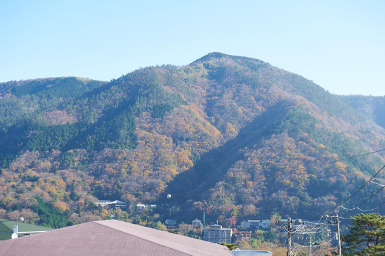 Exterior & Views 2, Onsen Hotel Gorakan, Hakone