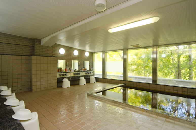 Bathroom, Kyukamura Shikotsuko, Chitose