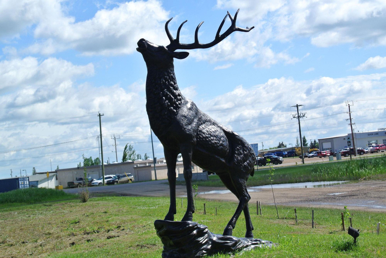 Exterior & Views 2, Vegreville Garden Inn, Division No. 10
