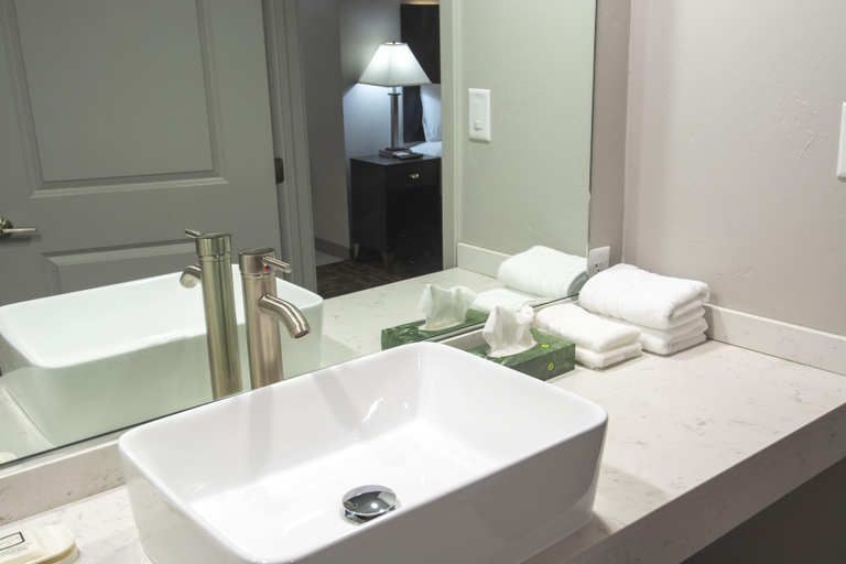 Bathroom 4, Americana Modern Hotel, Shasta