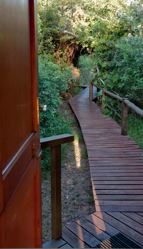 Exterior & Views 2, Bushwillow Collection, Umkhanyakude