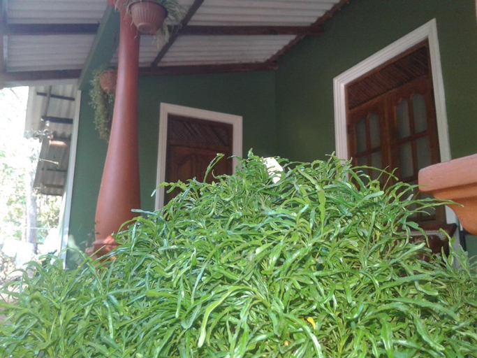 Exterior & Views 2, Green Bamboo House, Dambulla