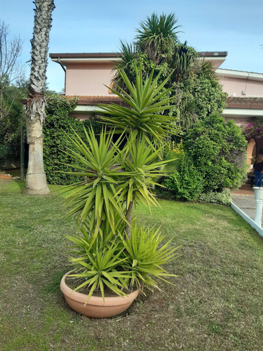 Exterior & Views 2, B&B Villa Giovanni, Rome