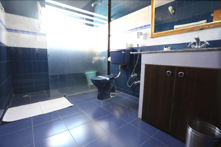 Bathroom, Hotel Rafica, Leh