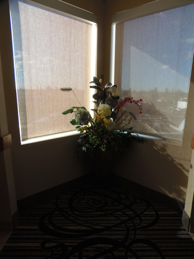 Public Area 2, Rosslyn Inn and Suites, Division No. 11