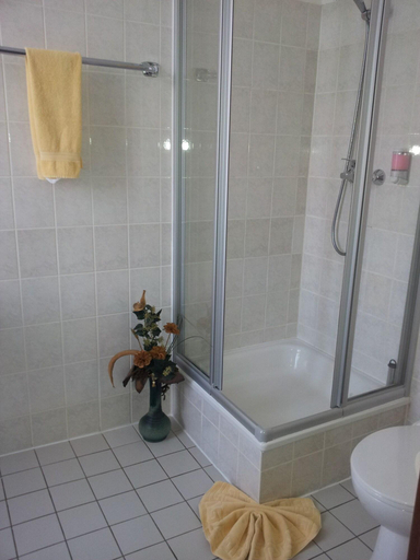 Bathroom 5, Hotel Wippertal, Salzlandkreis
