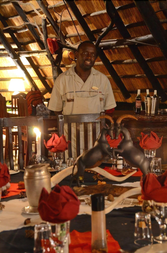 Public Area 3, Ivory Lodge, Hwange
