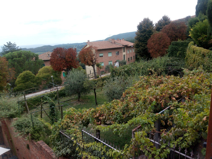 Exterior & Views 2, La Corte Medicea, Siena