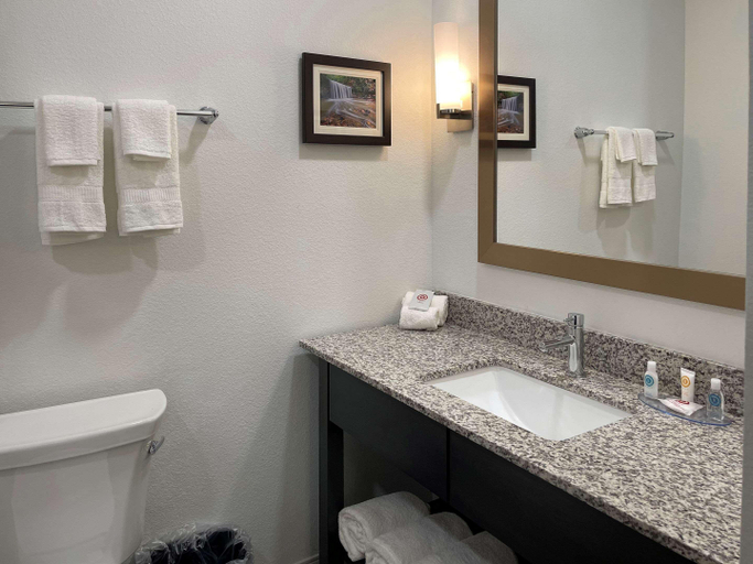 Bathroom 4, Comfort Suites Cincinnati University - Downtown, Hamilton