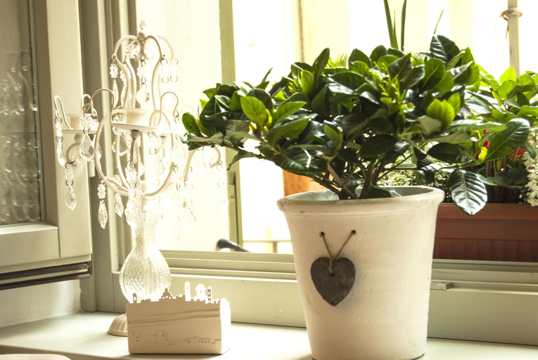 Food & Drinks, B&B San Lorenzo, Bergamo