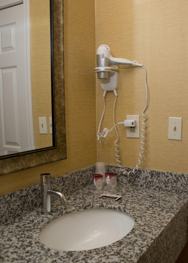 Bathroom 5, Hampton Falls Inn, Rockingham