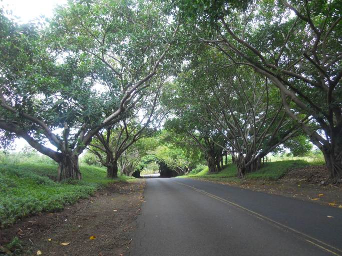 Exterior & Views 2, 2417 @ Lihue Oceanfront Resort, Kauai Beach Drive,, Kauai