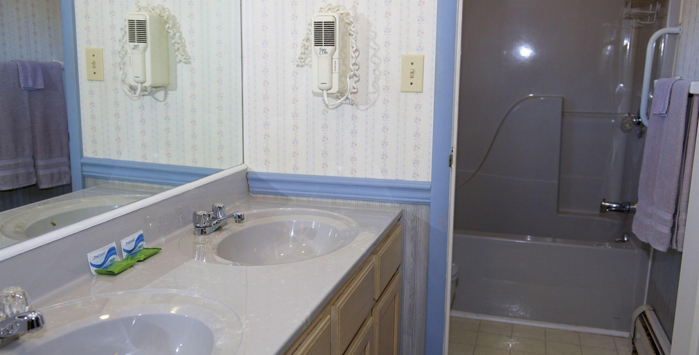 Bathroom 5, Myer Motel, Pike