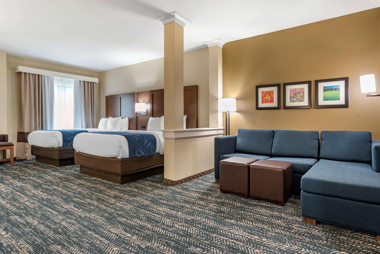 Public Area 2, Comfort Inn & Suites Downtown near University, Tuscaloosa