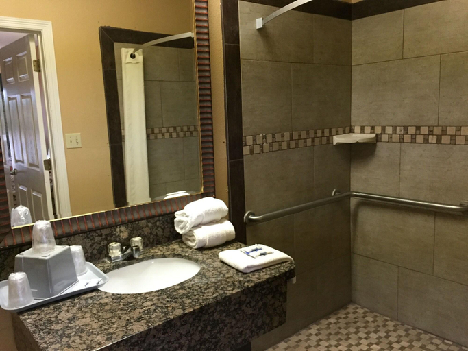 Bathroom 4, Texas Inn Alamo, Hidalgo