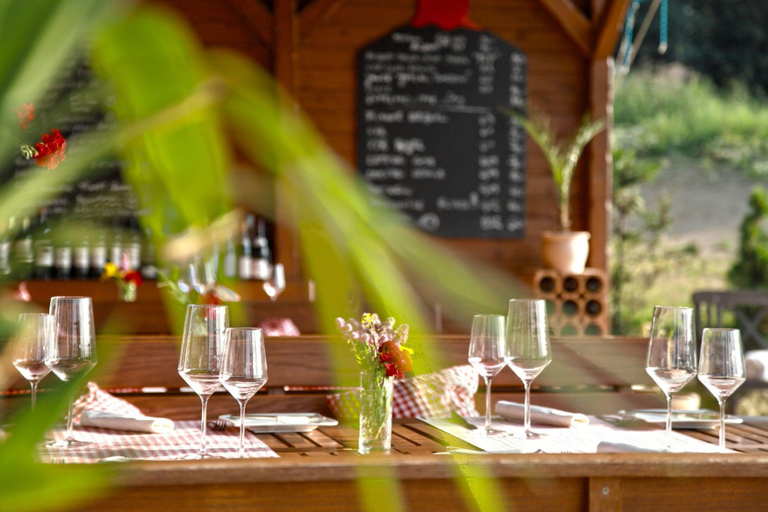 Food & Drinks 5, Villa Rozmaryn, Cheb