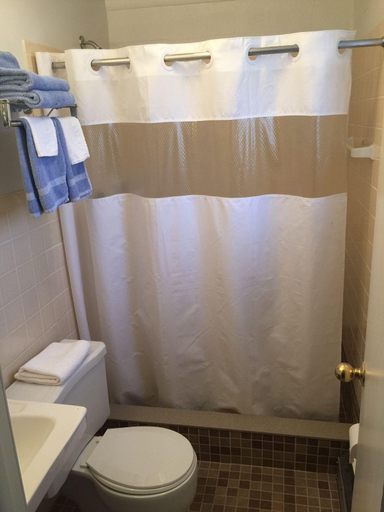 Bathroom, Economy Inn of Bloomington, Monroe