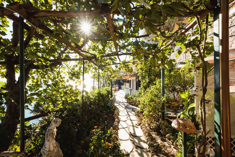Exterior & Views 2, Orto Paradiso, Salerno