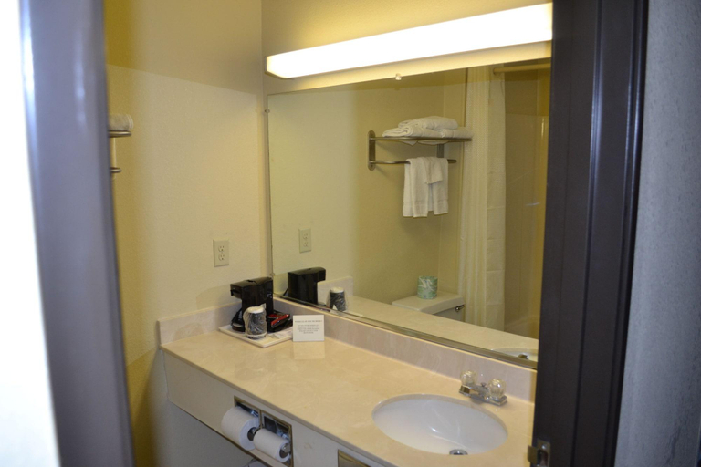 Bathroom 5, Countryside Inn & Suites Fremont, Dodge