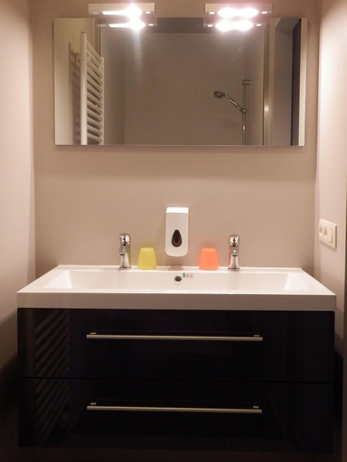 Bathroom 4, Hoevehotel Ronse, Oost-Vlaanderen
